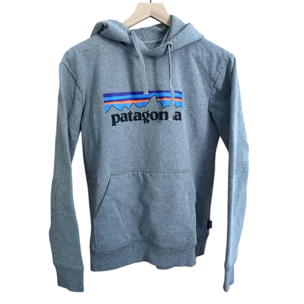 Patagonia Gray Fitz Roy Men's Hoodie
